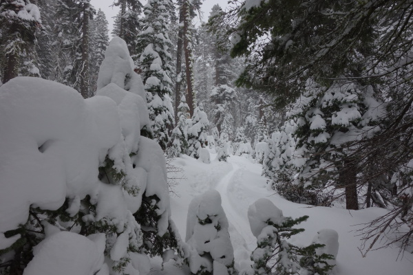 The snowpack is growing between Highway 89 and the Pacific Crest.