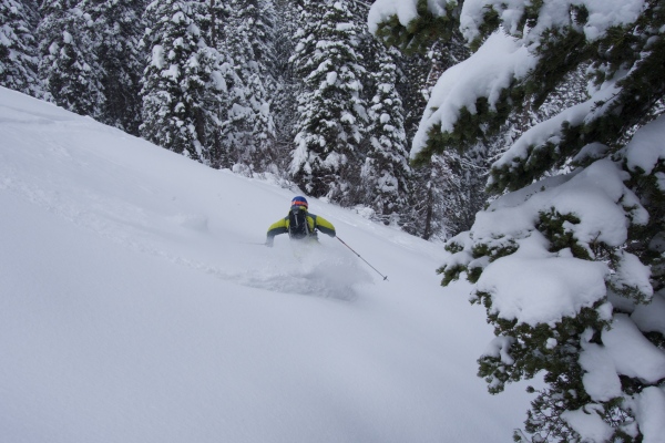 Grant Kaye slays pow on December 20.