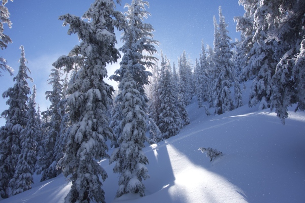 Is this really Lake Tahoe skiing right now?