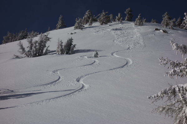 Windslab avalanche near Incline Lake Peak.