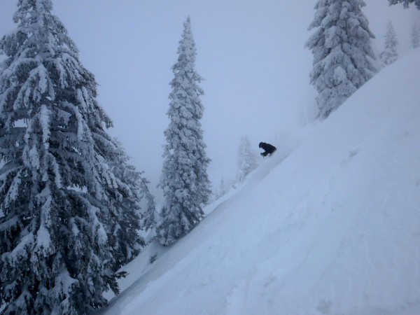 Shred uncrowded deep powder?  Check!