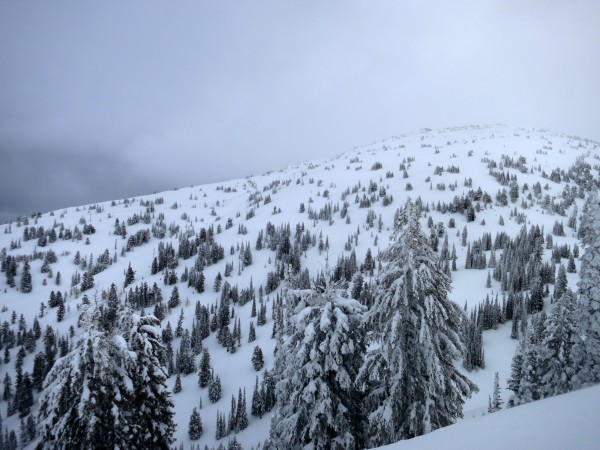 Perfect glades accessed from the Dreamcatcher lift.