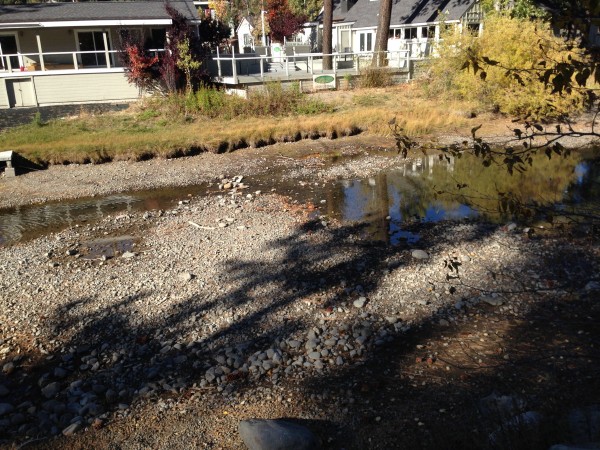 Truckee River is merely a trickle just past the dam in Tahoe City.