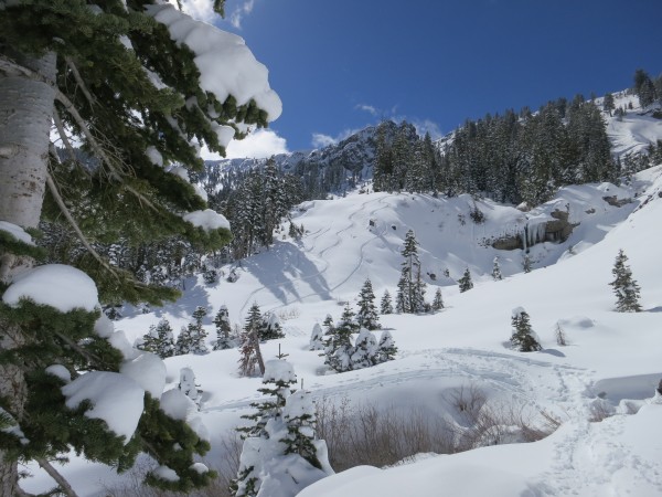 Perfect conditions in the backcountry on March 3.