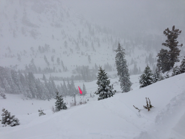 Skiers Search for Avalanche Victims