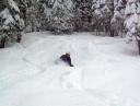 Squaw Valley Powder Skiiing